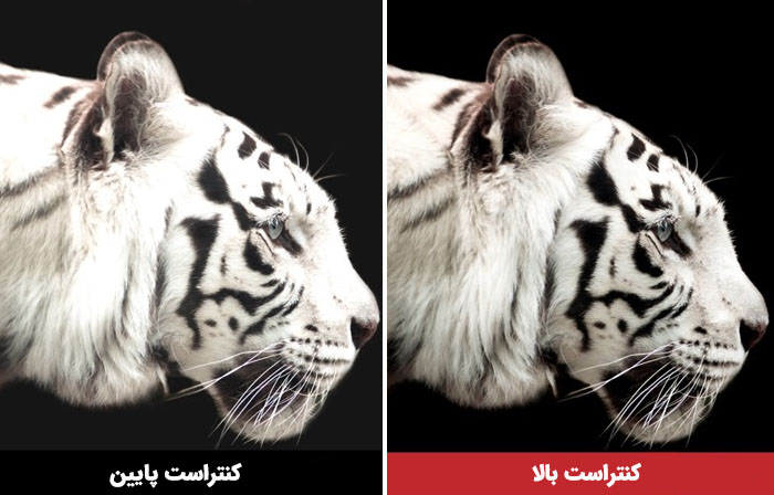 کنتراست در ویدئو پروژکتور